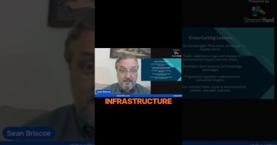 Construire Vite, Réguler Lentement : Enjeux Politiques