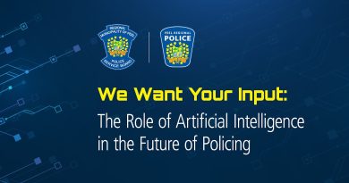 Consultations GHR : Vie privée et protection des données en IA