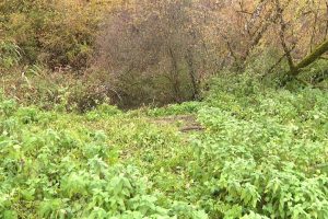 Corps retrouvé coupé en deux en Haute-Saône : une Française aurait tué le propriétaire de son appartement en Suisse selon RTL