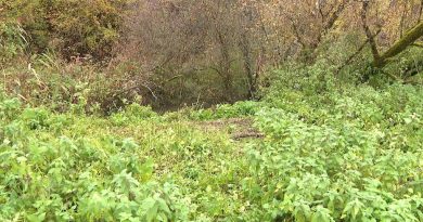 Corps retrouvé coupé en deux en Haute-Saône : une Française aurait tué le propriétaire de son appartement en Suisse selon RTL