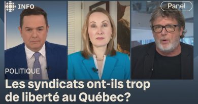 Cotisations syndicales facultatives : une stratégie efficace ?