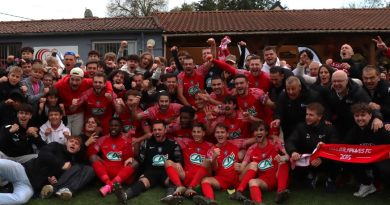 illustration agrandir l