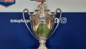 illustration agrandir l