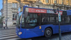 illustration agrandir l