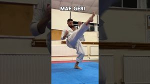 Coups de pied en karaté : techniques et styles Shotokan