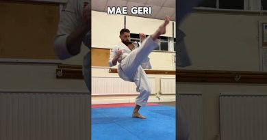Coups de pied en karaté : techniques et styles Shotokan
