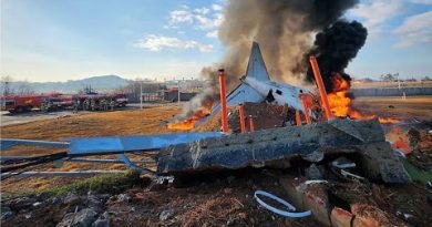 Crash d'Avion près de Marseille : Un Drame Ébranle la France