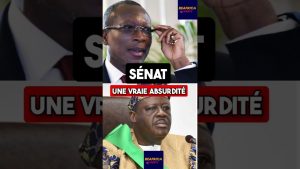 Création du Sénat au Bénin : une absurdité de Patrice Talon