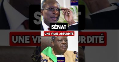 Création du Sénat au Bénin : une absurdité de Patrice Talon