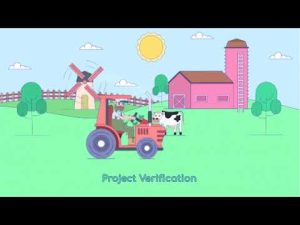 Crédit carbone : fonctionnement et régulations au Kenya en 2024