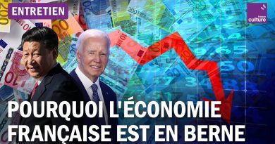 Crise économique française : décalage avec USA et Chine