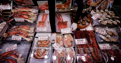 Crise entre Tokyo et Pékin : la Chine suspend ses importations de produits de la mer japonais