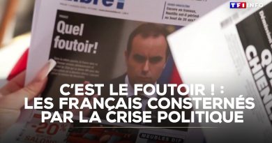 Crise politique : les Français inquiets pour l'avenir