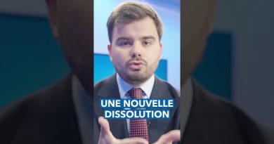 Crise politique : les choix stratégiques de Macron