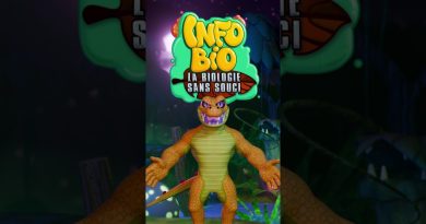 Crocodile orange : la nature éclatante révélée ! #biologie