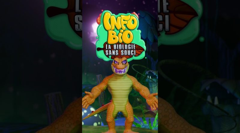 Crocodile orange : la nature éclatante révélée ! #biologie