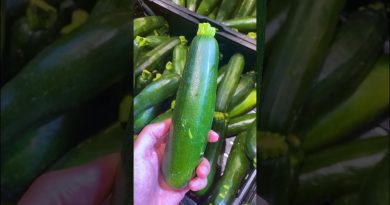 Croquettes de courgette au parmesan : une recette délicieuse !