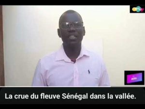 Crue spectaculaire dans la vallée du fleuve Sénégal