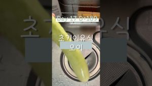 Cuiseur vapeur pour purée de concombre pour bébés