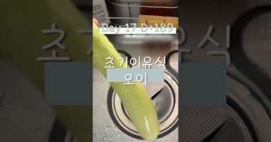 Cuiseur vapeur pour purée de concombre pour bébés