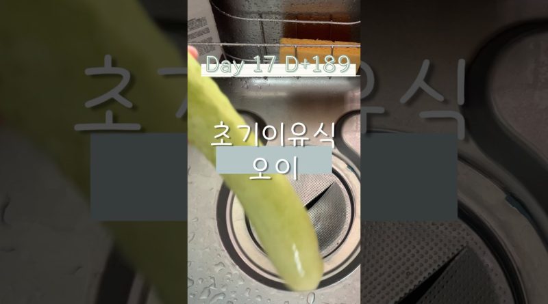 Cuiseur vapeur pour purée de concombre pour bébés