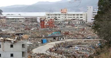 Culture d'hypertravail | Stratégie démographique | Visite impériale