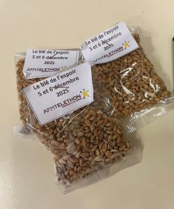 Cumuna di Cuzzà - Commune de Cozzano