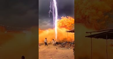 Cyclone Dévastateur : Éclairs et Arbres Abattus en ASMR