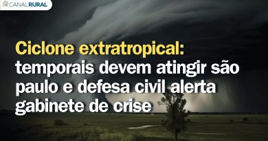 Cyclone extratropical : alertes de tempêtes à São Paulo