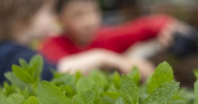 Dans le Grand Nancy, vos jardins peuvent faire avancer la recherche !