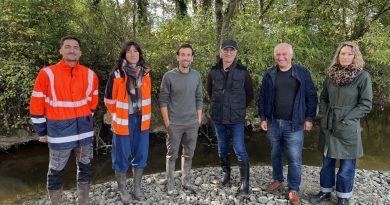 Dans le Vignoble nantais, les élèves d'une école participeront aux travaux de restauration d'un cours d'eau
