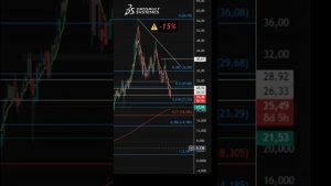 Dassault Systèmes : Plongée de -15% à l'ouverture du 23 octobre