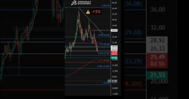 Dassault Systèmes : Plongée de -15% à l'ouverture du 23 octobre