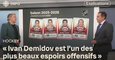 Début de la saison régulière en Ligue nationale de hockey