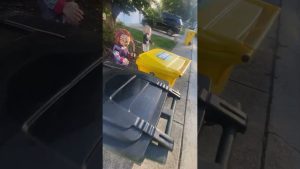 Déchets du jeudi (16/10/2025)