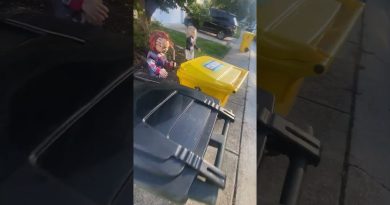 Déchets du jeudi (16/10/2025)