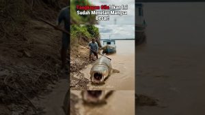 Découverte Effrayante dans la Rivière : Un Animal en Danger !