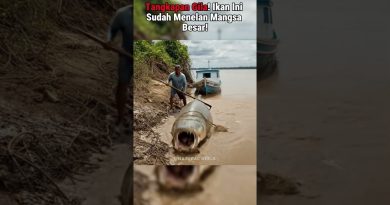 Découverte Effrayante dans la Rivière : Un Animal en Danger !