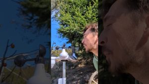 Découverte de la météo à distance avec @superfarmland3450