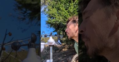 Découverte de la météo à distance avec @superfarmland3450