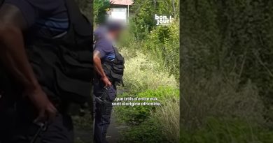 Découverte de quatre corps dans la Seine : les faits