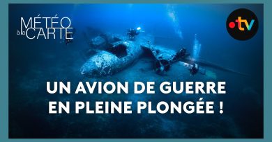 Découverte d'un avion de guerre en pleine chute !