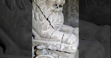 Découverte d'un lion en pierre dans une chambre secrète souterraine !