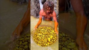 Découverte incroyable : de l'or trouvé en pleine forêt ! 😱
