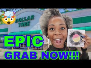 đ„ DĂ©couvertes incontournables chez Dollar Tree : marques et plus !