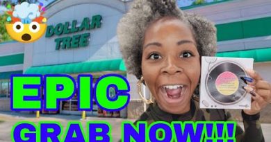 🔥 Découvertes incontournables chez Dollar Tree : marques et plus !