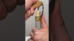 Découvrez comment sont fabriquées les bouchons en liège ! 🍷🌳