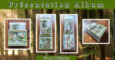 Découvrez l'Album World Of Fairies avec Magics Loisirs