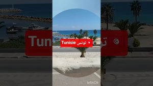 Découvrez la Tunisie : faits et informations essentielles 🇹🇳