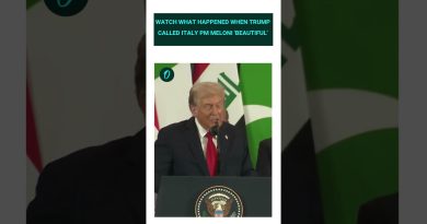 Découvrez la réaction de Meloni après le compliment de Trump